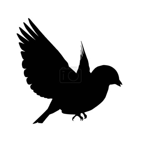 Téléchargez les illustrations : Silhouette vectorielle de Bird sur fond blanc - en licence libre de droit
