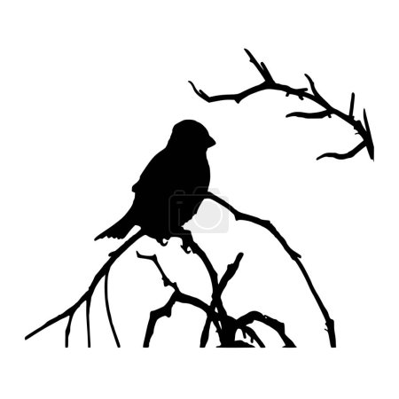 Ilustración de Silueta vectorial de pájaro sobre fondo blanco - Imagen libre de derechos