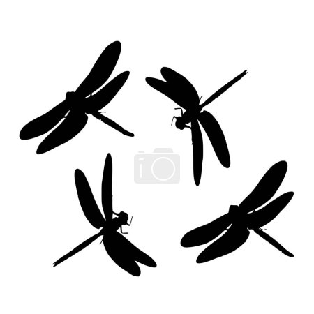 Téléchargez les illustrations : Silhouette vectorielle de libellule sur fond blanc - en licence libre de droit