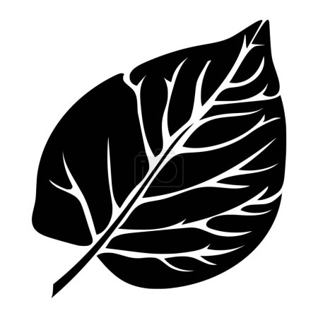 Illustration for Vector silhouette of leaf on white background - Royalty Free Image