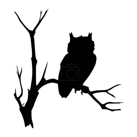Ilustración de Silueta vectorial de búho sobre fondo blanco - Imagen libre de derechos