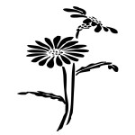 Vector silhouette of flowers on white background