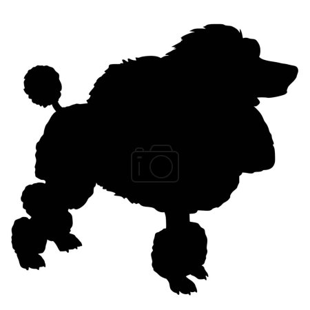 Illustration for Vector silhouette of dog on white background - Royalty Free Image