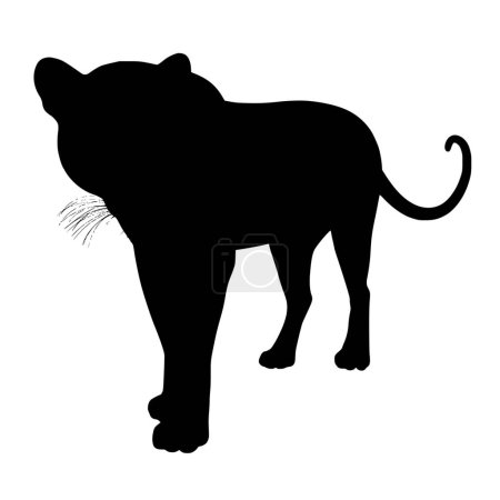 Illustration for Vector silhouette of Panther on white background - Royalty Free Image