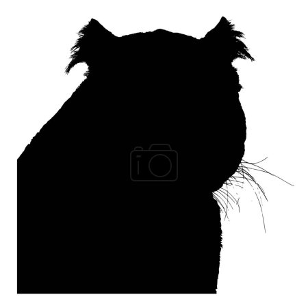 Illustration for Vector silhouette of Panther on white background - Royalty Free Image