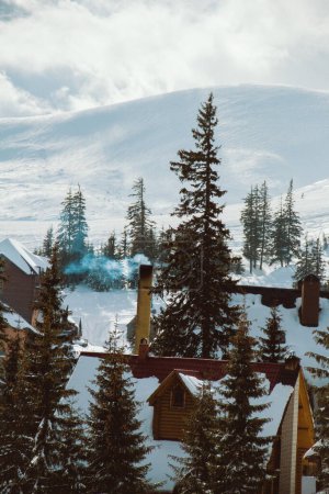 Téléchargez les photos : Beau paysage de montagne d'hiver avec neige et arbres - en image libre de droit