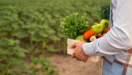 Photo for Male farmer holding a wooden box with fresh raw vegetables. Basket with vegetables (cabbage, carrots, cucumbers, radishes, corn, garlic and peppers) in hands. - Royalty Free Image