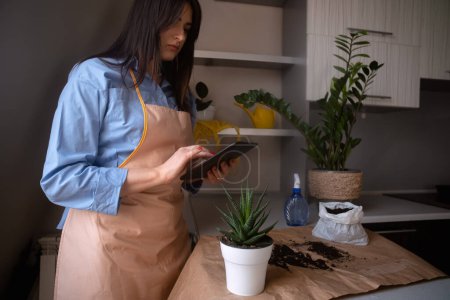 Eine Frau mit einem Tablet dokumentiert Zimmerpflanzen und zeigt ihre Leidenschaft für die Gartenarbeit und das Pflanzen von Blumen zu Hause. Dieses Bild fängt die Essenz wachsender Zimmerpflanzen und die Freude am Wachsen in Innenräumen ein.