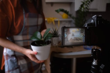 Une jeune femme filme un blog vidéo et plante joyeusement des fleurs vives. Reflétant l'essence du jardinage et du soin des fleurs, l'art de cultiver des plantes. Convient pour le mode de vie, le jardinage et la vlogging.