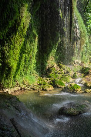 Téléchargez les photos : Découvrez les merveilles de la nature : une cascade dans un parc verdoyant. Idéal pour l'écotourisme, les randonnées pédestres et l'exploration des réserves naturelles et des sites historiques. - en image libre de droit