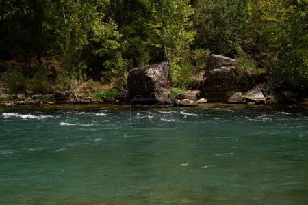 Téléchargez les photos : Une rivière de montagne rugit, avec des arbres verts en arrière-plan. Activités récréatives, rafting sur les rivières de montagne, visites et excursions dans les zones de loisirs. Tourisme extrême. - en image libre de droit