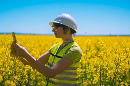 Agricultural engineer at a field inspection, a farmer stands in a wheat field with a folder in his hands and checks the crop, an engineer stands in a field with rapeseed, an agronomist in the field