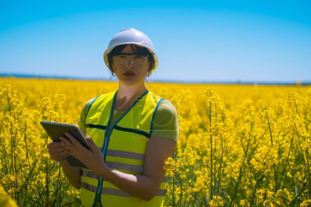 Agricultural engineer at a field inspection, a farmer stands in a wheat field with a folder in his hands and checks the crop, an engineer stands in a field with rapeseed, an agronomist in the field