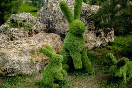 Easter bunny, rabbit carved from green bush, decorative shapes crafted by gardener, topiary gardens.