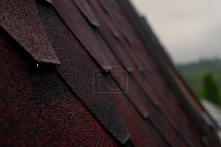 A close-up of a red roof after rain, showcasing the quality of your roofing or renovation work. Emphasize your company's reliable protection against precipitation and long-lasting roof durability.