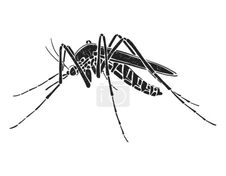 Illustration for Mosquito silhouette. Black and white vector illustration - Royalty Free Image