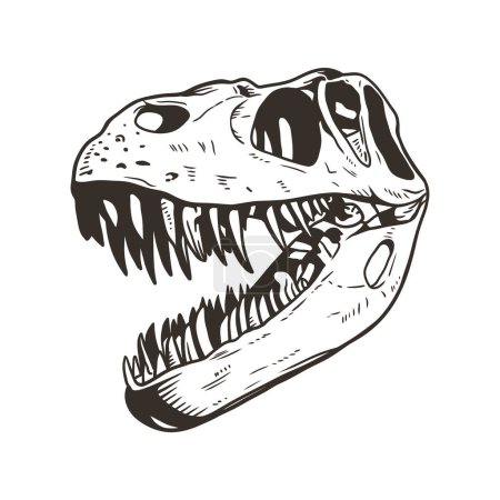Ilustración de Esqueleto de cabeza de dinosaurio ilustración de arte de línea dibujada a mano sobre fondo blanco - Imagen libre de derechos
