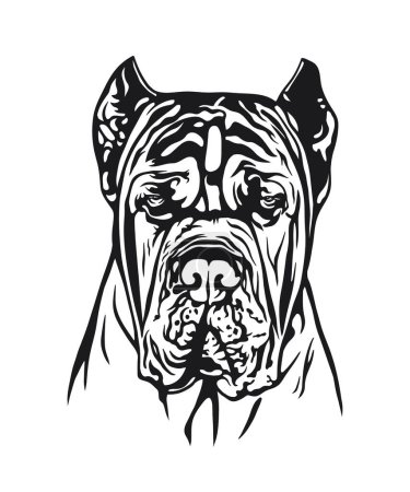 Illustration for A detailed dog headshot in black and white vector art. - Royalty Free Image