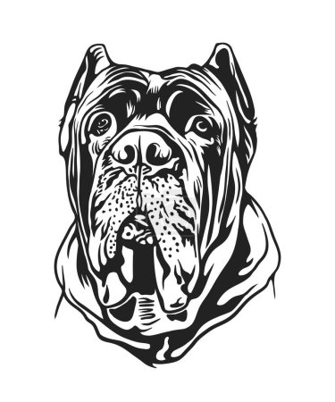 A detailed dog headshot in black and white vector art.