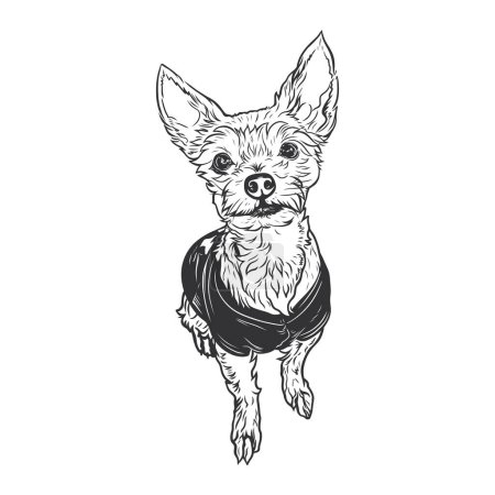 Illustration for Black and white vector illustration of a cute Chihuahua. - Royalty Free Image