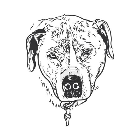 Illustration for Hand drawn black and white vector illustration of a dog headshot. - Royalty Free Image