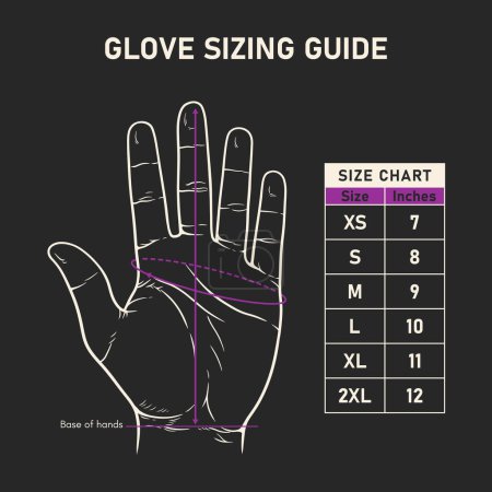 Detailed illustration of a hand with glove sizing guide chart, ideal for selecting the perfect glove fit