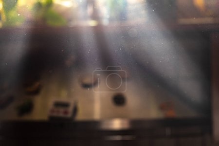 Photo for Sunbeams entering the window and highlighting the house dust. Dust and allergens in the home air. Hygiene concept - Royalty Free Image