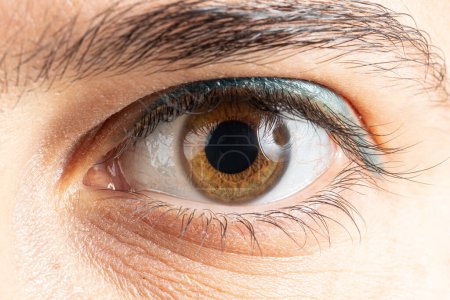 Eine extreme Nahaufnahme, die die reiche und komplexe Textur einer menschlichen Iris und die feinen Details der Wimpern zeigt