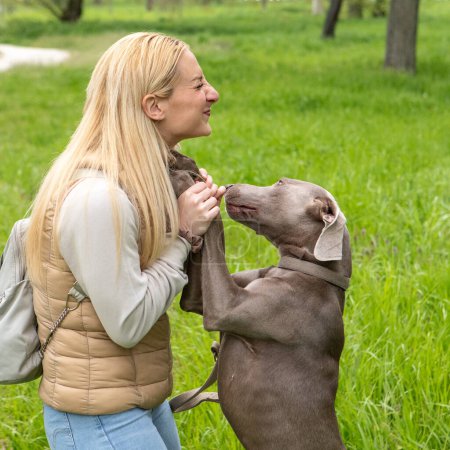 A blonde woman shares a joyful moment with her Weimaraner dog, who stands on hind legs to nuzzle her face, amidst the vibrant greenery of a peaceful park