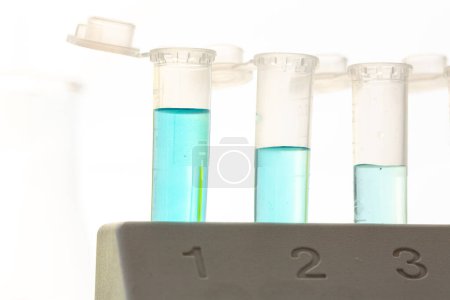 Primer plano retroiluminado de los tubos de ensayo que contienen líquido azul en un soporte marcado con números, mostrando pasos en un experimento o análisis científico