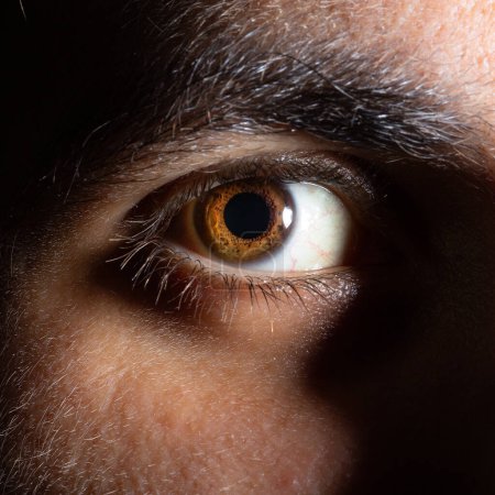Eine kraftvolle und intime Makroaufnahme eines braunen menschlichen Auges, die detaillierte Irismuster und -strukturen zeigt, die einen starken Blick widerspiegeln