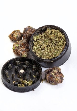 Photo for Cannabis strain with purple buds scattered around a black grinder. Isolated on white and loads of copy space - Royalty Free Image