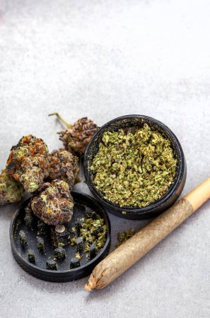 Photo for Black Marijuana grinder with ground buds and whole buds with slight purple color. Next to it is a rolled joint with unbleached paper. Light grey background and copy space - Royalty Free Image