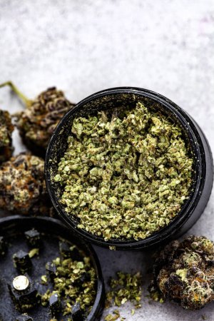 Photo for Black weed grinder with scattered buds of a purple Indica strain. Selective focus, on light grey with copy space. - Royalty Free Image