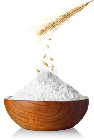 Photo for Wheat grains falling from ripe ear in wooden bowl with flour isolated on white background - Royalty Free Image