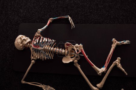 Foto de El esqueleto humano yace en un suelo oscuro. Vista superior. Foto de alta calidad - Imagen libre de derechos