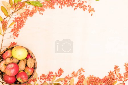 Photo for Autumn composition of fruits, berries and nuts on a light background. High quality photo - Royalty Free Image