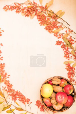 Photo for Autumn composition of fruits, berries and nuts on a light background. High quality photo - Royalty Free Image