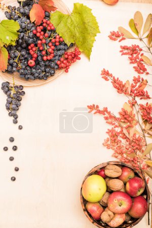 Herbstliche Komposition aus Früchten, Beeren und Nüssen auf hellem Hintergrund. Hochwertiges Foto