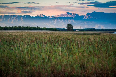 Photo for Beautiful landscape with mountains, grassy meadow and Marano Lagoon, Italy - Royalty Free Image