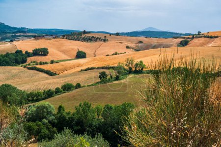 Photo for Beautiful view of the tuscan landscape - Royalty Free Image