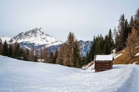 Photo for Scenic shot of snowy La Val, Alta Val Badia, South Tyrol, Italy - Royalty Free Image