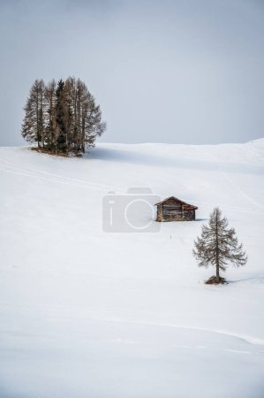 vue panoramique de La Val enneigée, Alta Val Badia, Tyrol du Sud, Italie