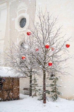 Téléchargez les photos : Plan rapproché du décor de Noël sur la rue enneigée de San Candido, Italie - en image libre de droit