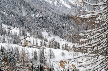 Foto de Pintoresca toma de hermosas chozas de madera cubiertas de nieve Sauris, Provincia de Udine, Italia - Imagen libre de derechos