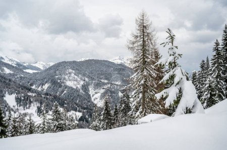 Téléchargez les photos : Vue panoramique de la belle neige couverte Sauris, Province d'Udine, Italie - en image libre de droit