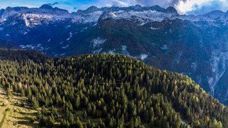 Foto de Vista del valle de Val Raccolana y Montasio, al noreste de Italia - Imagen libre de derechos