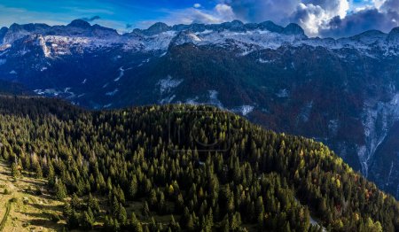 Téléchargez les photos : Vue sur la vallée du Val Raccolana et Montasio, au nord-est de l'Italie - en image libre de droit