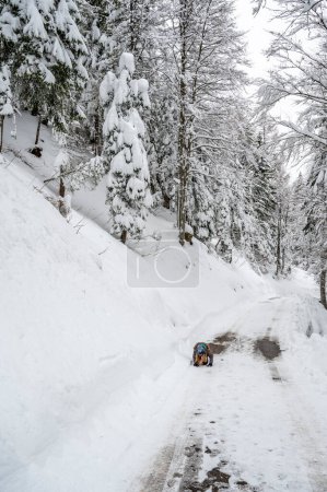 Téléchargez les photos : Hiver à Sauris di Sotto. Magie de la neige en Italie - en image libre de droit