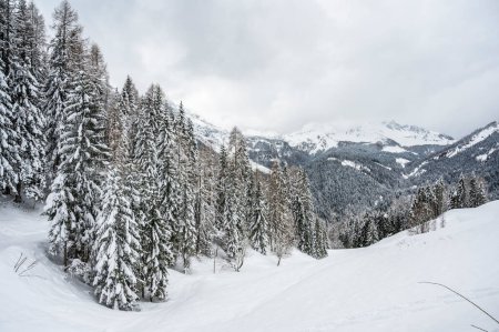 Photo for Winter in Sauris di Sotto. Magic of snow in Italy - Royalty Free Image